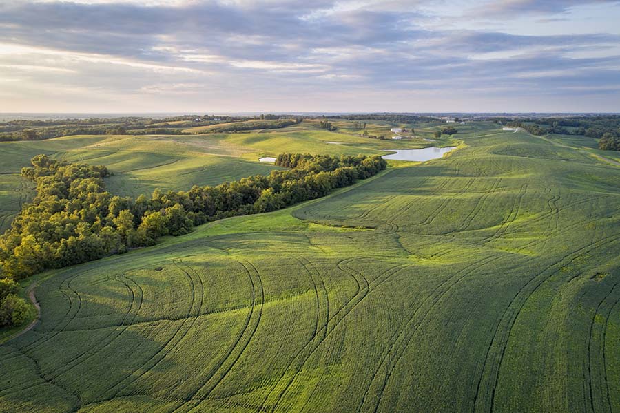 Gainesville MO - Aerial View of Fields of Soy Crops and Surrounding Countryside in Gainesville Missouri